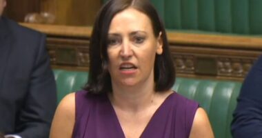Government whip resigns as she slams Labour’s welfare reforms and their impact on disabled people