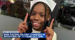 Graylin Waters charged in shooting of 11-year-old girl Willow James while driving home from school in Harvey