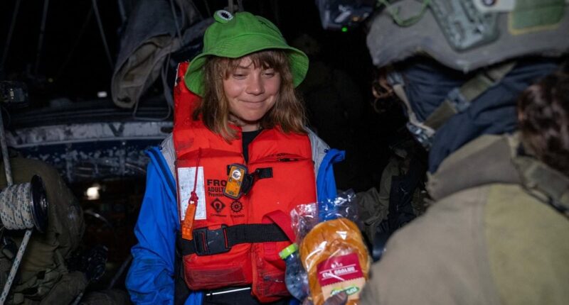 Greta Thunberg is locked in an Israeli jail for migrants and will be dragged to court with other 'freedom flotilla' activists, her lawyer claims - after snub from Sweden