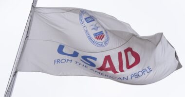 Guilty Plea in $550 Million USAID Fraud and Bribery Case Highlights an Urgent Need for Change