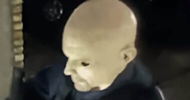 Gunman on loose after killer in TERRIFYING Halloween mask launches political assassinations and friend reveals who he voted for
