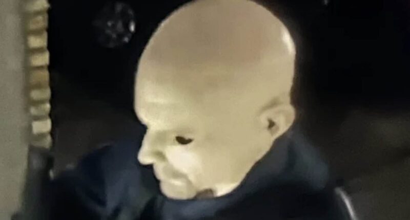 Gunman on loose after killer in TERRIFYING Halloween mask launches political assassinations and friend reveals who he voted for