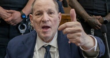 Harvey Weinstein gets good news AND bad news with sex assault verdict after juror issued chilling courtroom threat