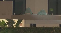 A home in Sydney's north west has been sprayed with bullets in a suspected drive-by shooting overnight.