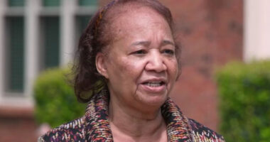 Homeowner forced to pay $70,000 for repairs as house is plagued by flying projectiles – she’s scared to go outside
