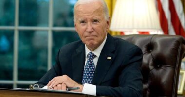 House Oversight Committee expands inquiry into Biden's mental condition and final acts in office