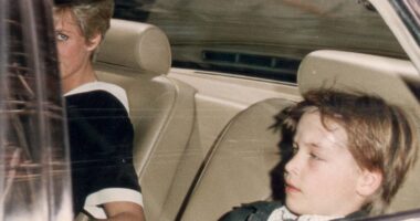How a 'severe blow' to William's head signalled the end of Prince Charles and Princess Diana's turbulent marriage