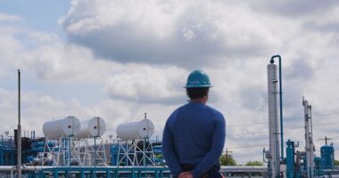 How carbon capture works and the debate about whether it's a future climate solution
