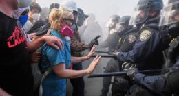 How covering your face became a constitutional matter: Mask debate tests free speech rights