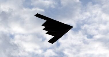 How deadly stealth warplane took Iran's nuclear site 'off the table'