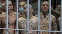 How feared drug cartels including Sinaloa and MS-13 are now operating INSIDE Europe with gangsters setting up meth labs in soft-touch EU to avoid growing US pressure in Latin America