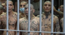 How feared drug cartels including Sinaloa and MS-13 are now operating INSIDE Europe with gangsters setting up meth labs in soft-touch EU to avoid growing US pressure in Latin America