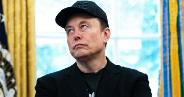 How much Elon Musk stands to lose in Trump spat as his staggering government contracts are revealed