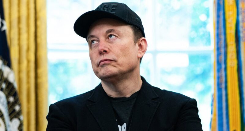 How much Elon Musk stands to lose in Trump spat as his staggering government contracts are revealed