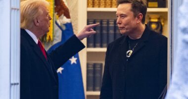 How much money Elon Musk lost because of feud with Donald Trump