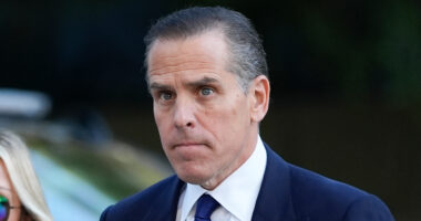 Hunter Biden is sued over $50k unpaid fee after being forced to admit he’s millions in debt & has no permanent home