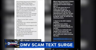 I-Team investigates: Illinois DMV text message scams surging in Chicago area, nationwide, cybersecurity experts warn