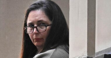 I could hear gasps in the courtroom as the 'mushroom poisoner' finally took the stand and revealed why she survived - when three others died: GUY ADAMS lays bare a lie by Erin Patterson even the prosecution hasn't mentioned