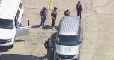 ICE agents descend on Dodger Stadium two weeks after riots that brought LA to its knees