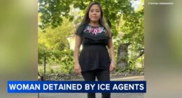 ICE agents in Chicago news: Mother of 3 in US for 10 years, Grace & Peace Church volunteer among those detained in South Loop