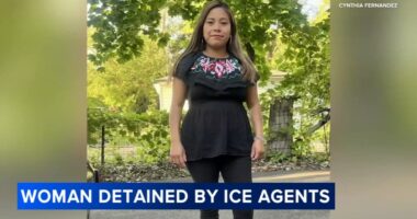 ICE agents in Chicago news: Mother of 3 in US for 10 years, Grace & Peace Church volunteer among those detained in South Loop