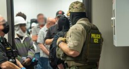 ICE officers assaulted during raid that nabbed 70 illegal immigrants at meat plant: DHS