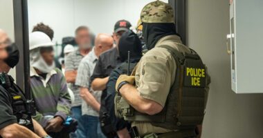 ICE officers assaulted during raid that nabbed 70 illegal immigrants at meat plant: DHS