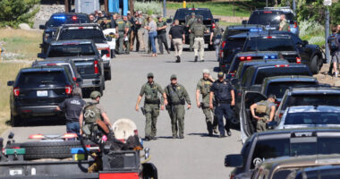 Idaho shooting suspect is ‘named as Wess Roley’ after he set fire to lure firefighters to scene before killing two