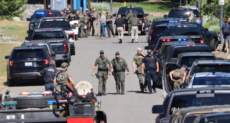 Idaho shooting suspect is ‘named as Wess Roley’ after he set fire to lure firefighters to scene before killing two