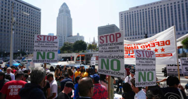 Immigration authorities carry out enforcement activity across Los Angeles amid crowds of protesters