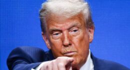 Inside the twisted reporting of CNN's 'propagandist-in-chief' Natasha Bertrand as Trump demands she should be 'thrown out like a dog'