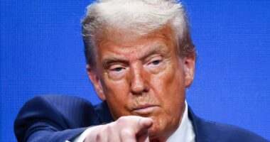 Inside the twisted reporting of CNN's 'propagandist-in-chief' Natasha Bertrand as Trump demands she should be 'thrown out like a dog'