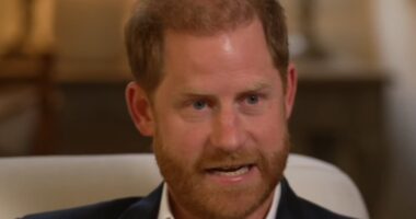 Insider claims there is one heartbreaking reason behind Harry's change of heart about letting Archie and Lilibet's photos be posted
