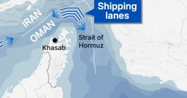 Iran holds world hostage: Iranian government poised to SHUT Strait of Hormuz closing off 20 per cent of global oil and gas