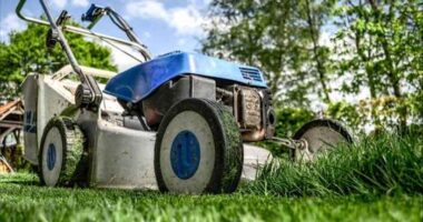 Is it against the law in Florida to blow grass clippings onto the road?