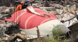 Is this what caused Air India crash? Pilot reveals mistake he thinks co-pilot made in Boeing disaster that killed 279
