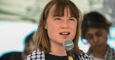 Israel issues warning to Greta Thunberg’s so-called Freedom Flotilla as eco-pest aims to SAIL to terror hotbed Gaza