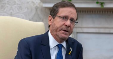Israeli President Herzog: Israel 'not dragging' US into war with Iran