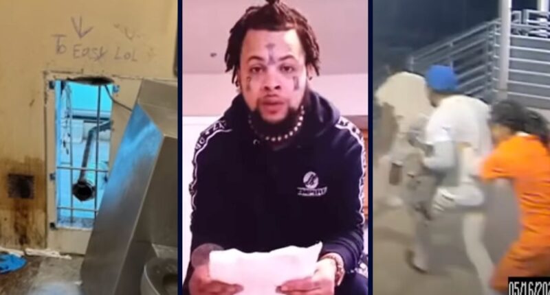 Jail escapee appears to beg for freedom in IG video: Cops