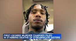 Jalonie Jenkins charged with murder in connection with stabbing of 2 sisters in Streamwood