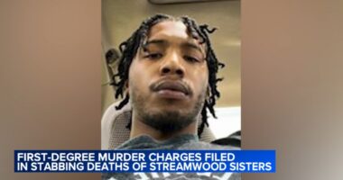 Jalonie Jenkins charged with murder in connection with stabbing of 2 sisters in Streamwood