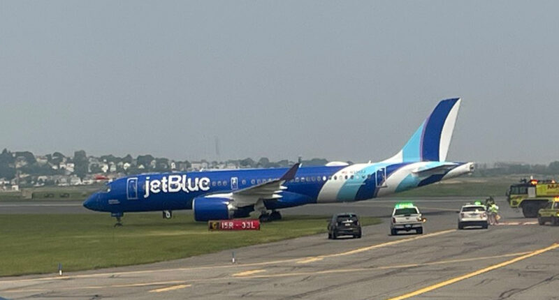 JetBlue plane skids off runway at Boston Logan Airport with all flights halted as rescue crews swarm aircraft