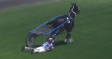 Jockey is hailed as a hero for saving her horse with an incredibly brave act that saw her get dragged around a racetrack