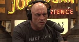 Joe Rogan visibly annoyed as guest exposes a secret he hasn't even told his wife
