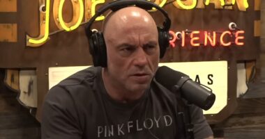 Joe Rogan visibly annoyed as guest exposes a secret he hasn't even told his wife
