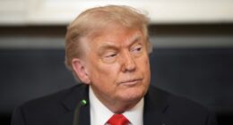 Judge declares Trump's use of Alien Enemies Act 'unlawful'