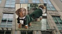 Judge rules that dog's family can seek emotional damages