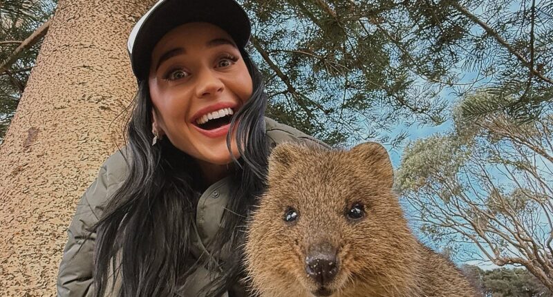 Katy Perry receives a message of support from Lauren Sanchez after ex Orlando Bloom cosied up to another woman - as she posts rare snaps with her daughter in Australia after skipping Venice wedding