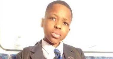 Killer skinned his own cat then hacked schoolboy, 14, to death during Samurai sword rampage when he also tried to kill four others, court hears