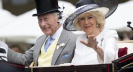 King Charles beams as he arrives at Ascot for fifth consecutive day alongside Queen Camilla in horse drawn carriage